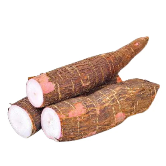 
Top 2021 High Quality Fresh Cassava In Large Quantity For Sale Whatsapp +6287878942750 