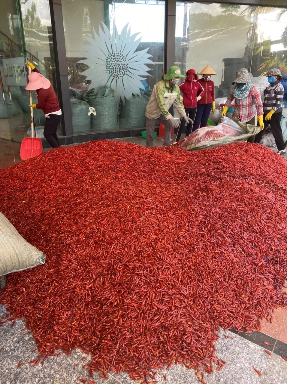 chili dried (74).jpg