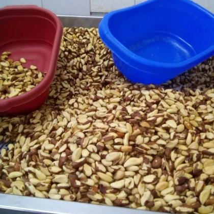 
 Бразильские гайки высшего качества  