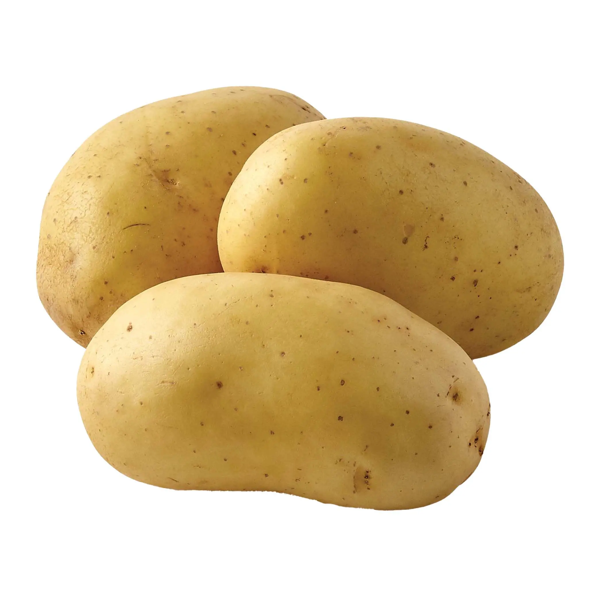 Wholesale Price High Quality Export Oriented 100% Organic Fresh Potato Oval Shape Potatoes From Bangladesh