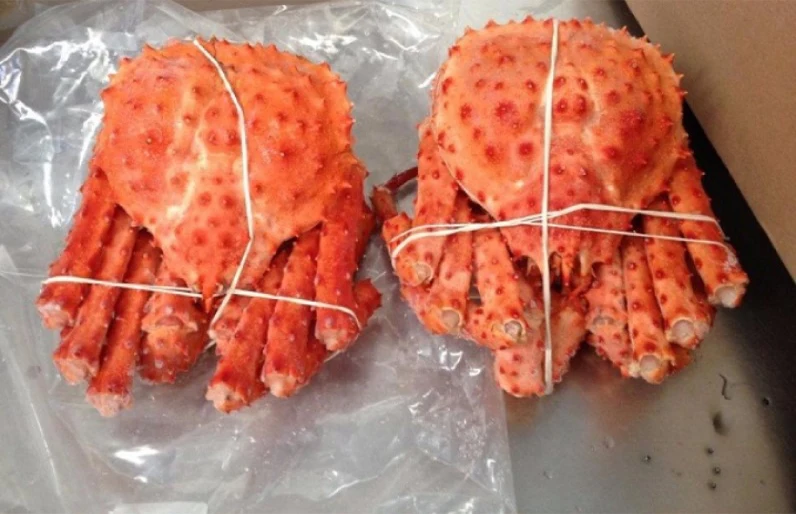SNOW CRAB CLUSTERS 680g BAG FROZEN/Alaskan King Crab Leg 6/9 in1kg,Snow crab 3L frozen,Whole