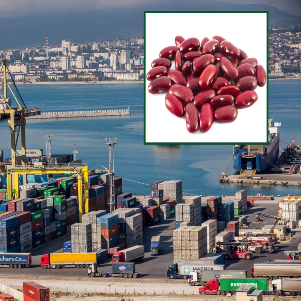 Красная фасоль Премиум-Качества, 25/35 кг в пакетах или оптом, оптовые цены