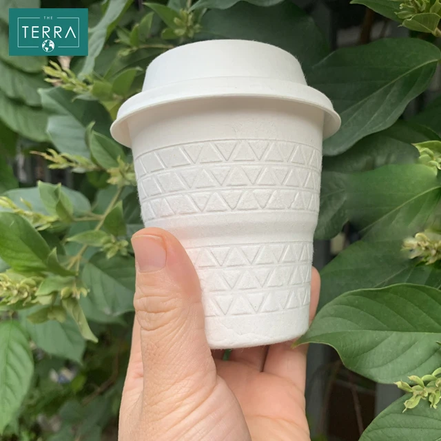 Vietnam White Biodegradable Boxes Packaging Pulp Moulding Surgarcane Bagasse Food Round 5-compartment tray