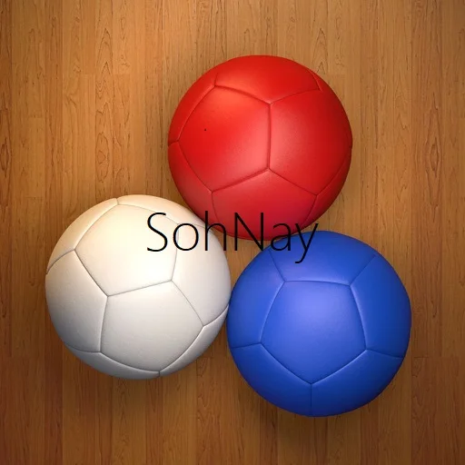 Boccia Ball Set of 13 balls blue red white Made by Japanese Cordley with customized Logo and carrying bag Pakistan