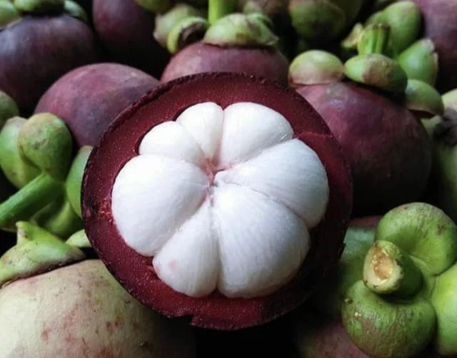 
EWC Brand Hot Selling Fruit Clean White Sweet Taste Fresh Mangosteen MST003 From Thailand 