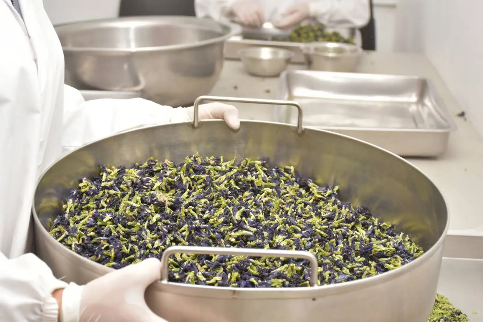 Organic Butterfly Pea Tea Cut 3MM USDA & EU Organic Certified Premium Herbal Organic Tea Wholesale From Thailand