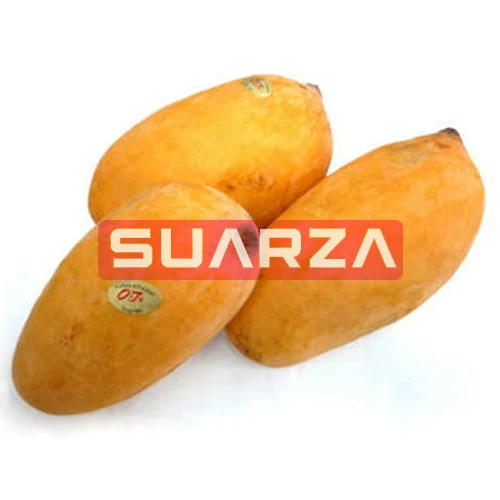 Certified Fresh Canned Mango fruit exporter at cheap price from Pakistan to all over the world/Fresh mango for wholesale