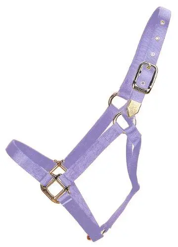 Durable Nylon Horse Halter Hardware Buckles Horse Head Collars Customized Leather Horse Halters with Brass and Steel PVC Webbing