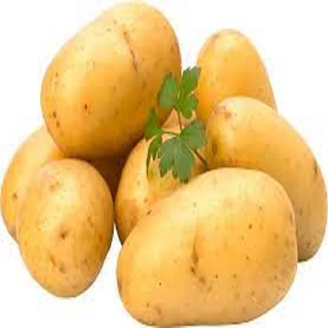 Potato - Think different Think Potato