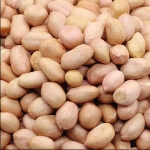 India origin bold peanut kernel high quality raw groundnut peanut sortex quality peanuts india origin