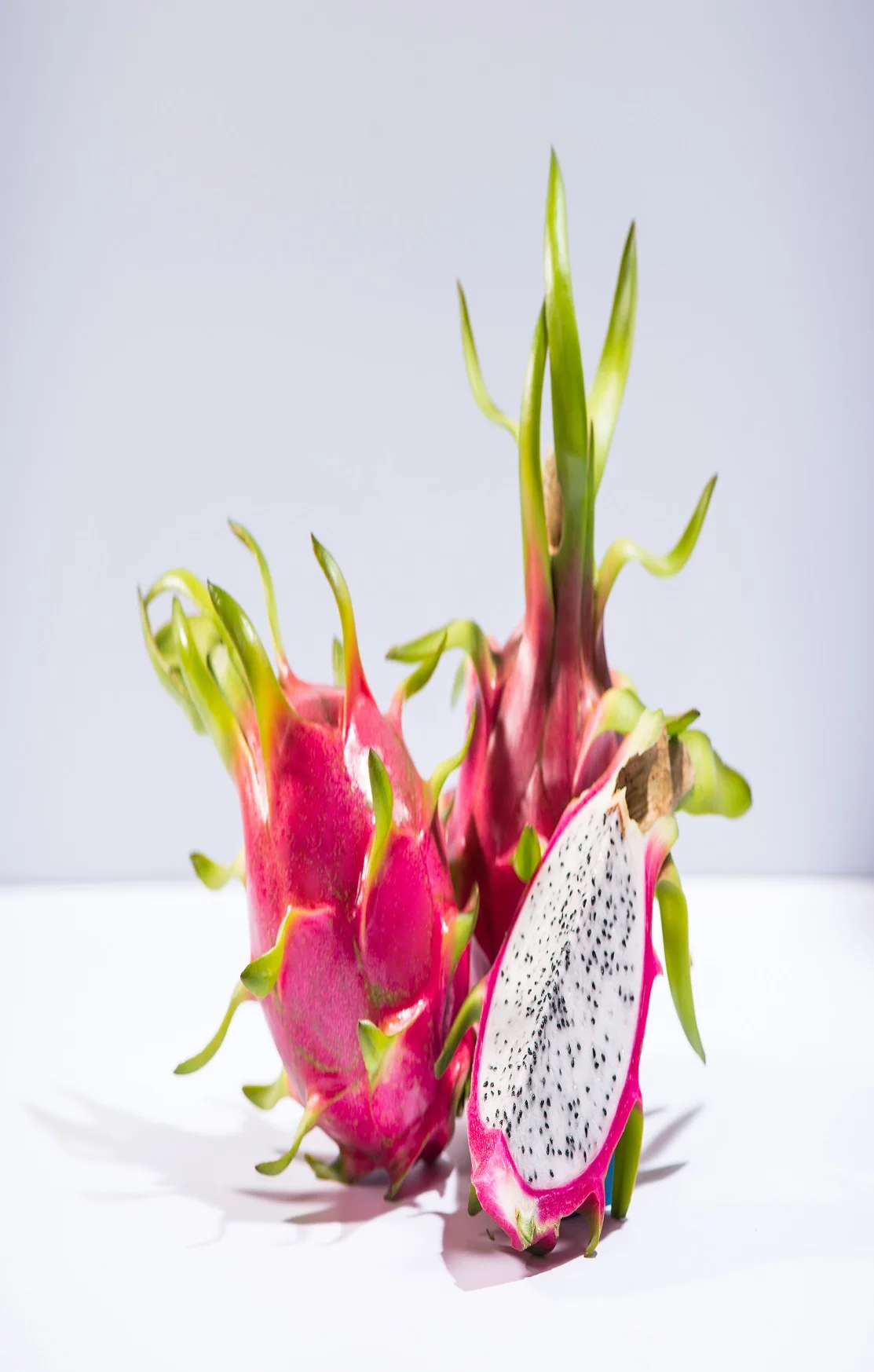 4.5kg/box Packaging Red and Green Sweet Taste Red flesh/ White flesh Variety Dragon fruit Export From Vietnam