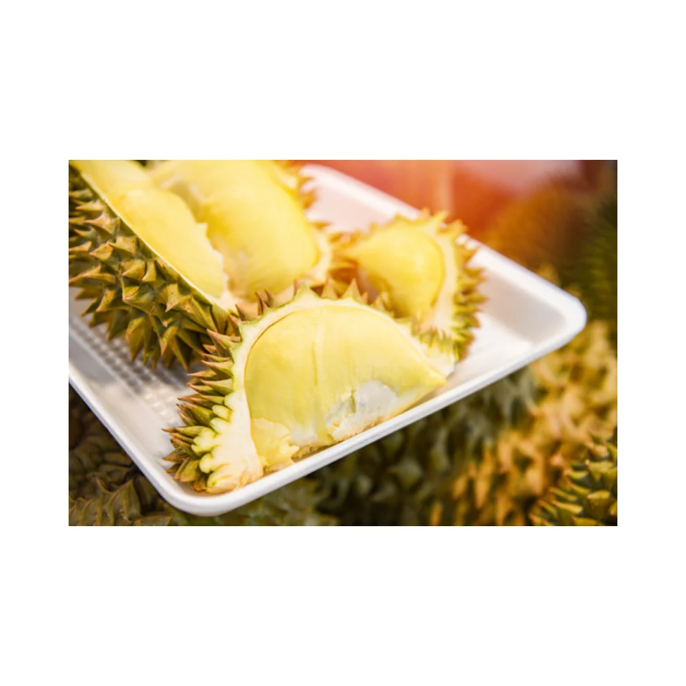 Fresh durian for china