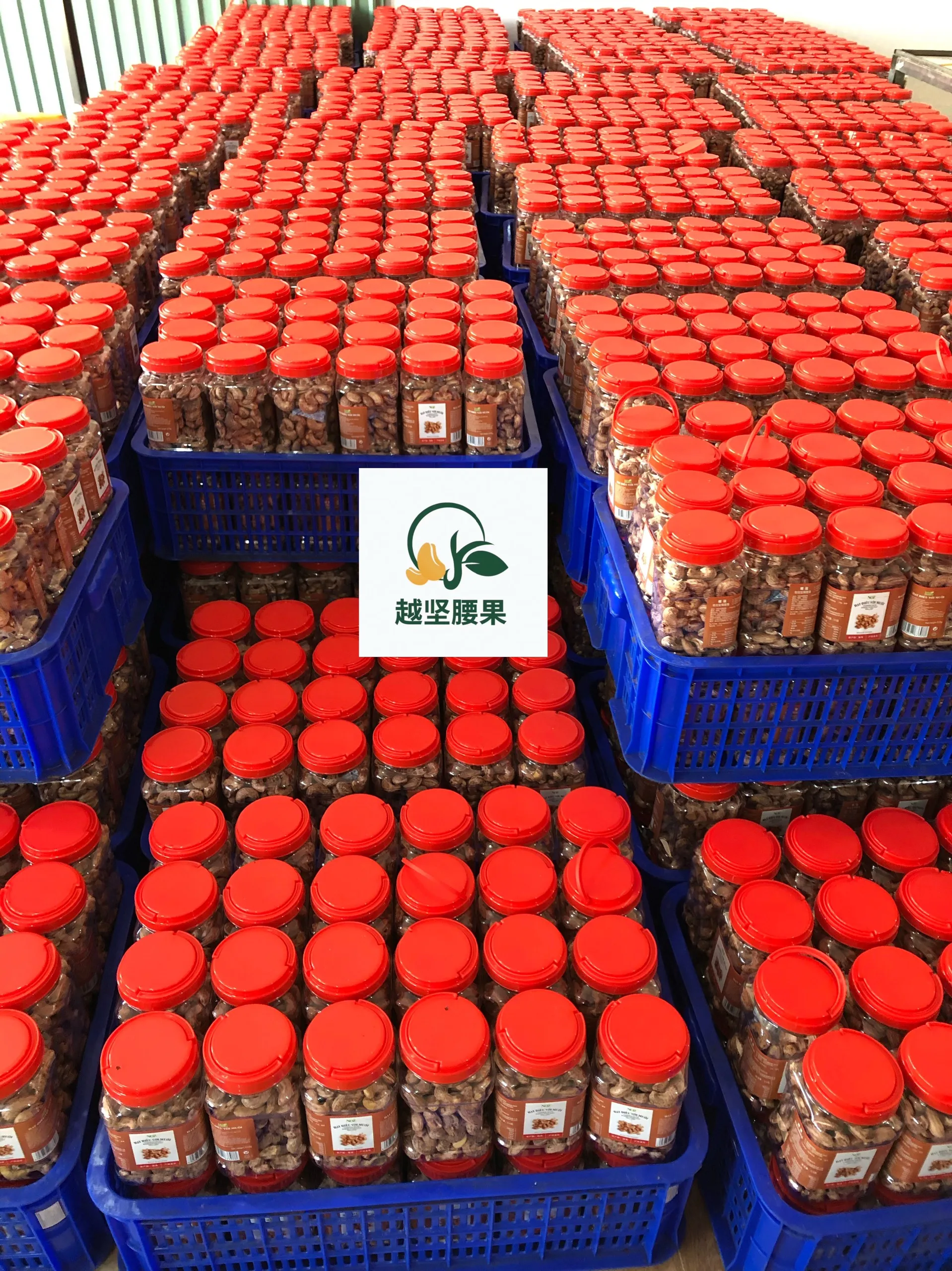 Hot Sale Manufacturing Company In Vietnam Best Quality Roasted Cashew Nuts Products In Bulk Contact Now For Good Price