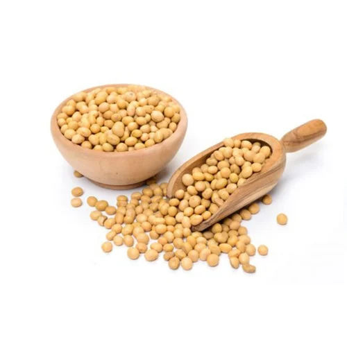 Soybeans /Soya Bean (8.0mm) with High Quality