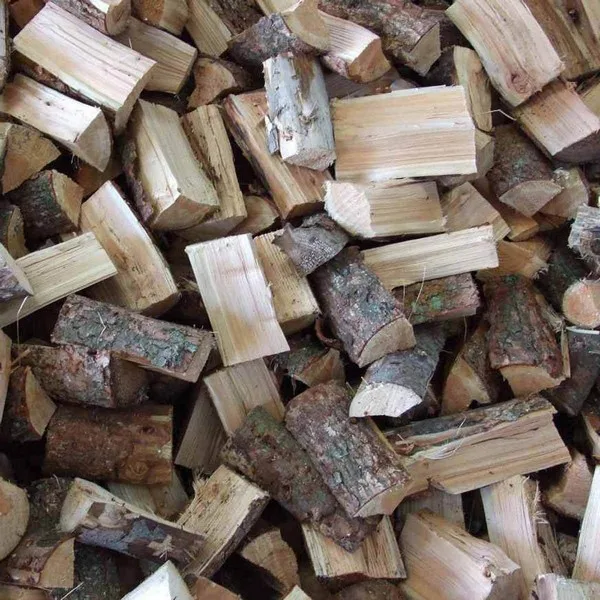 Hot sales OLIVE FIREWOOD 10-15% moisture from Belgium