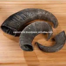 Horn Natural Handmade Bugle Blowing Horn Custom made natural buffalo  horn blowing