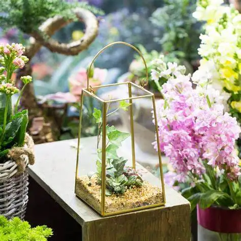 Elegant Decorative Design Wholesale Planted Diamond Hanging Terrarium Glass Globe Hanging Terrarium Handicraft