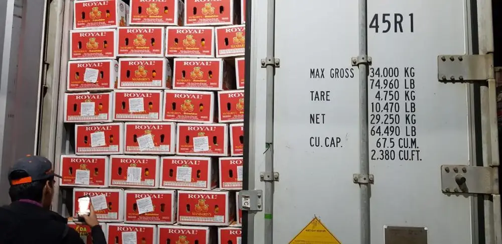 Fresh Organic Orange - A Grade Mandarin