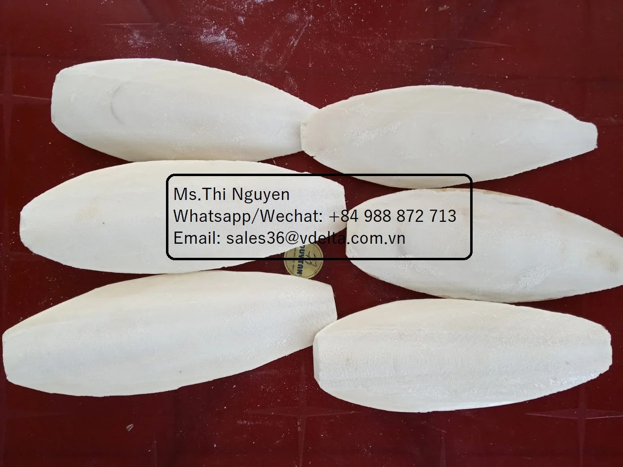 Лучшее качество сушеные кости для морской слепки-корм животных-котелки из Вьетнама/Ms.Thi Нгуен + 84 988 872 713