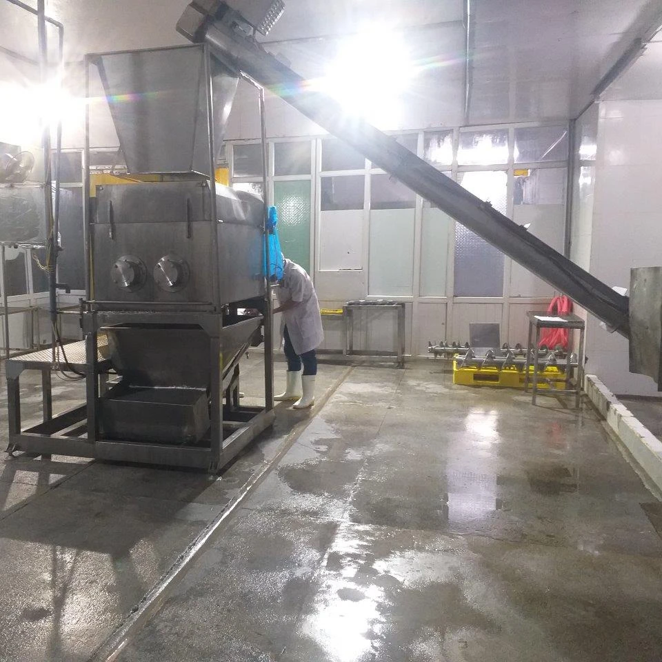 
Seafood factory - Pre-shipment inspection services in Vietnam for consumer goods - Well-trained inspectors 