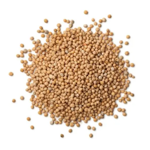 Высококачественные 100% органические семена горчицы с естественным ароматическим вкусом на 15% меньшая рыночная цена при минимальном заказе