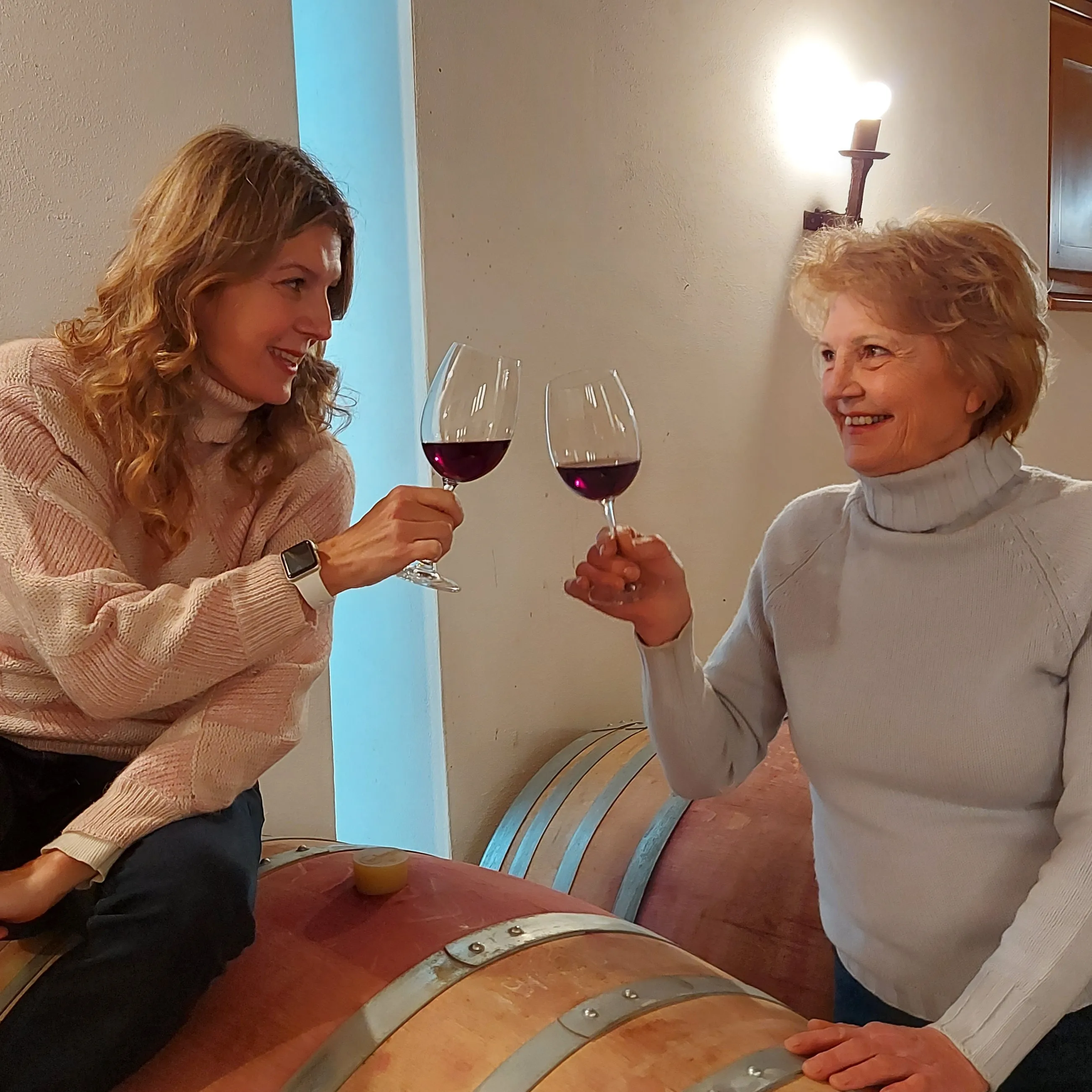 Unique Selection blend wine RICHENZA Igt REBUSSON Igt 75cl Vigna Petrussa quality White and Red for restaurant private client