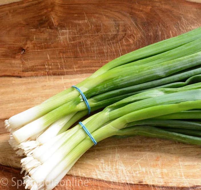 
High Quality Fresh Scallions 