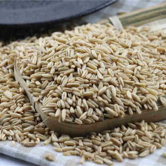 
ORGANIC OAT, BARLEY, RYE, WHEAT GRASS GRAIN SEEDS -JUICING SPROUTING CAT GRASS 