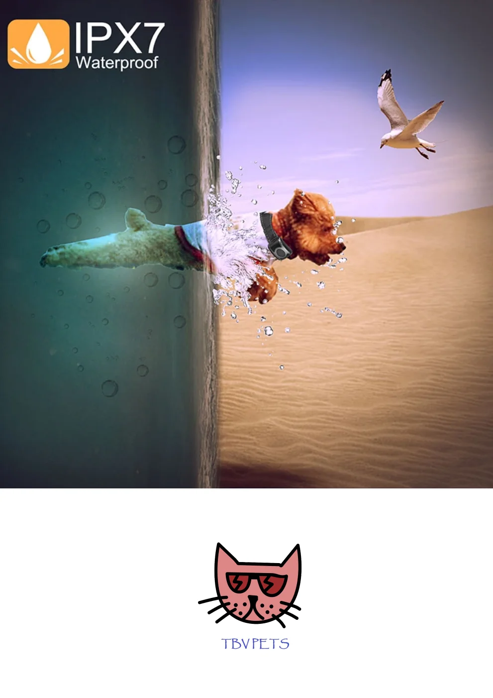 
T701 Remote Dog Training Obedience E-Collars - NON SHOCK Collar For 1 Dog 