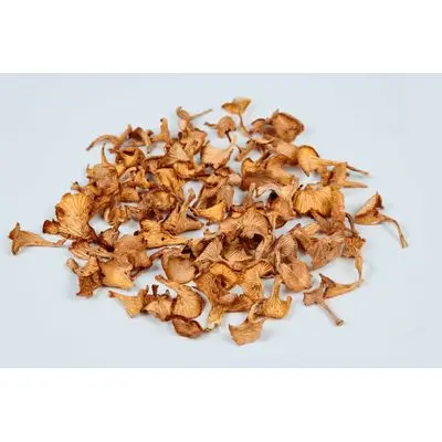 Cheap Price Dried Chanterelle Mushrooms