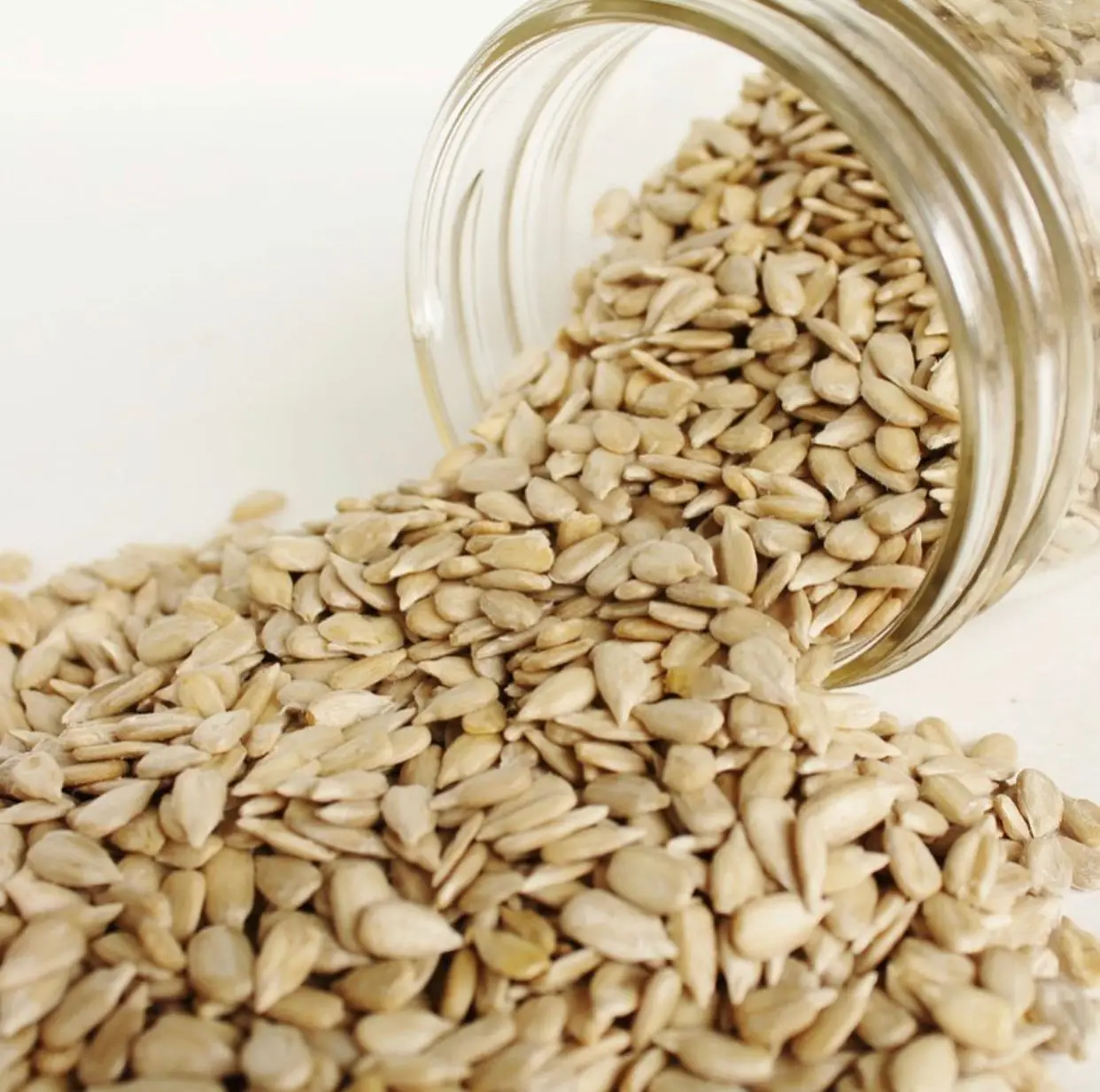 Wholesales Top Grade Wheat Grain