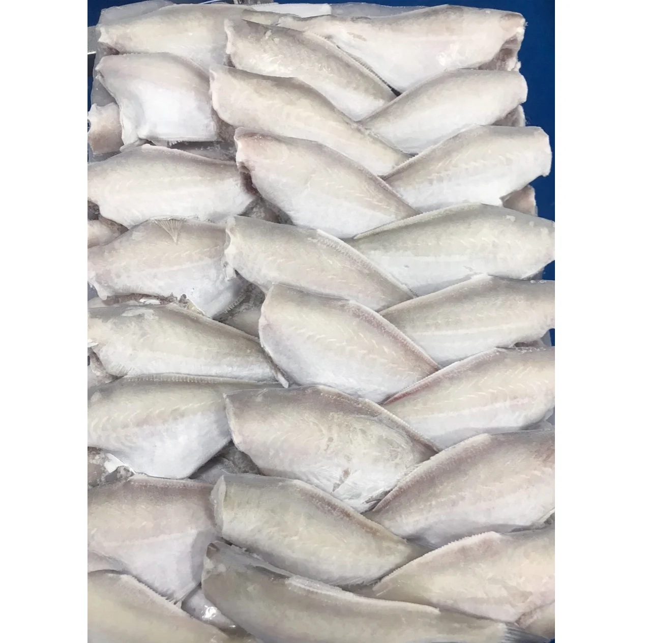 
Frozen Seafood Fresh Fish IQF (size: 500g-800g) 