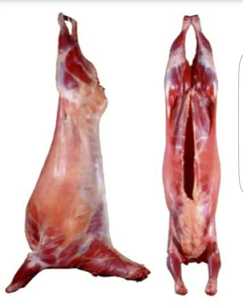 Frozen Goat Meat Mutton/Lamb Meat