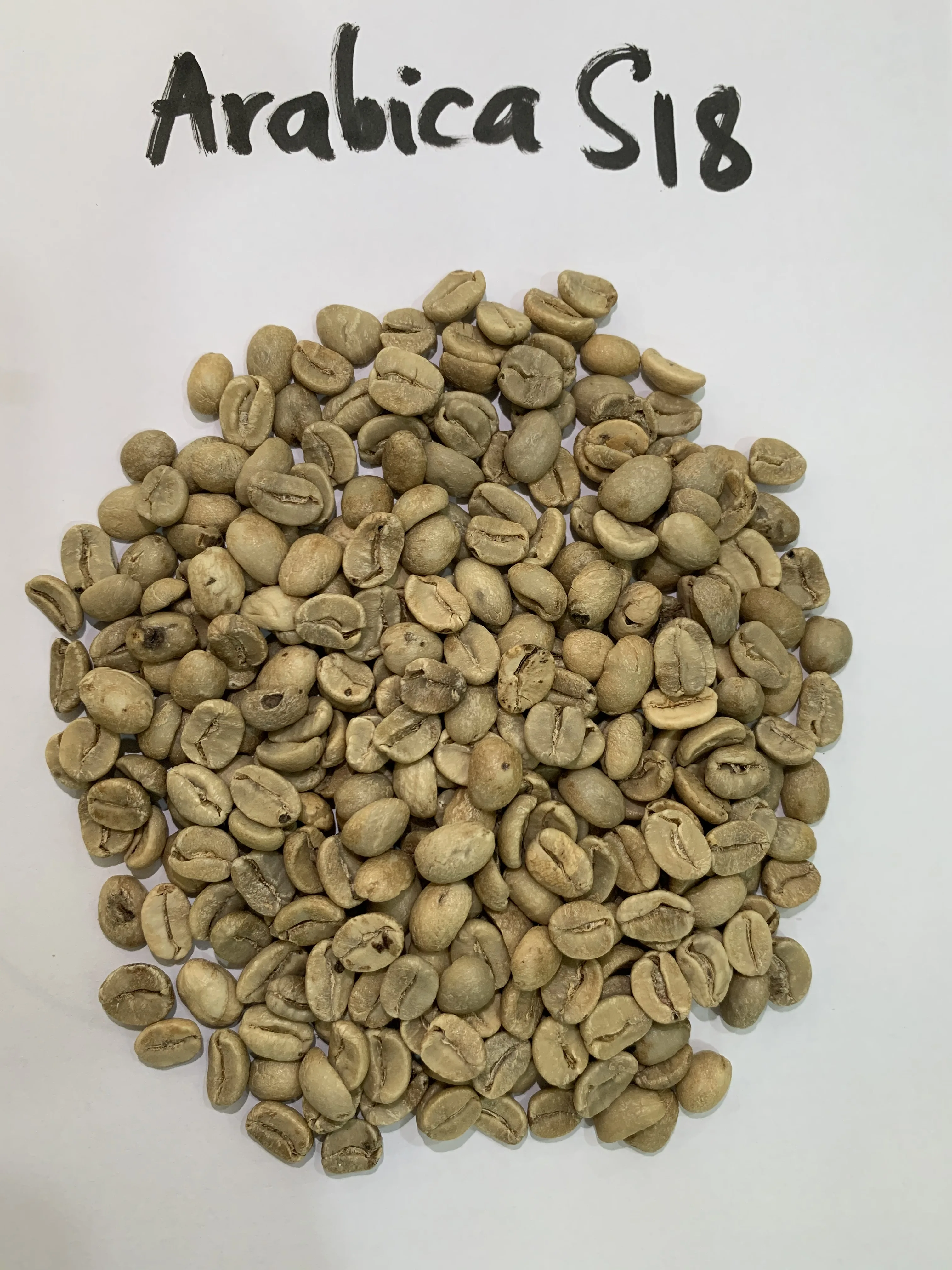 
Wholesale Vietnamese High Quality Green Coffee With Best Price Arabica Beans For Import Good Quality Raw Coffee Beans 