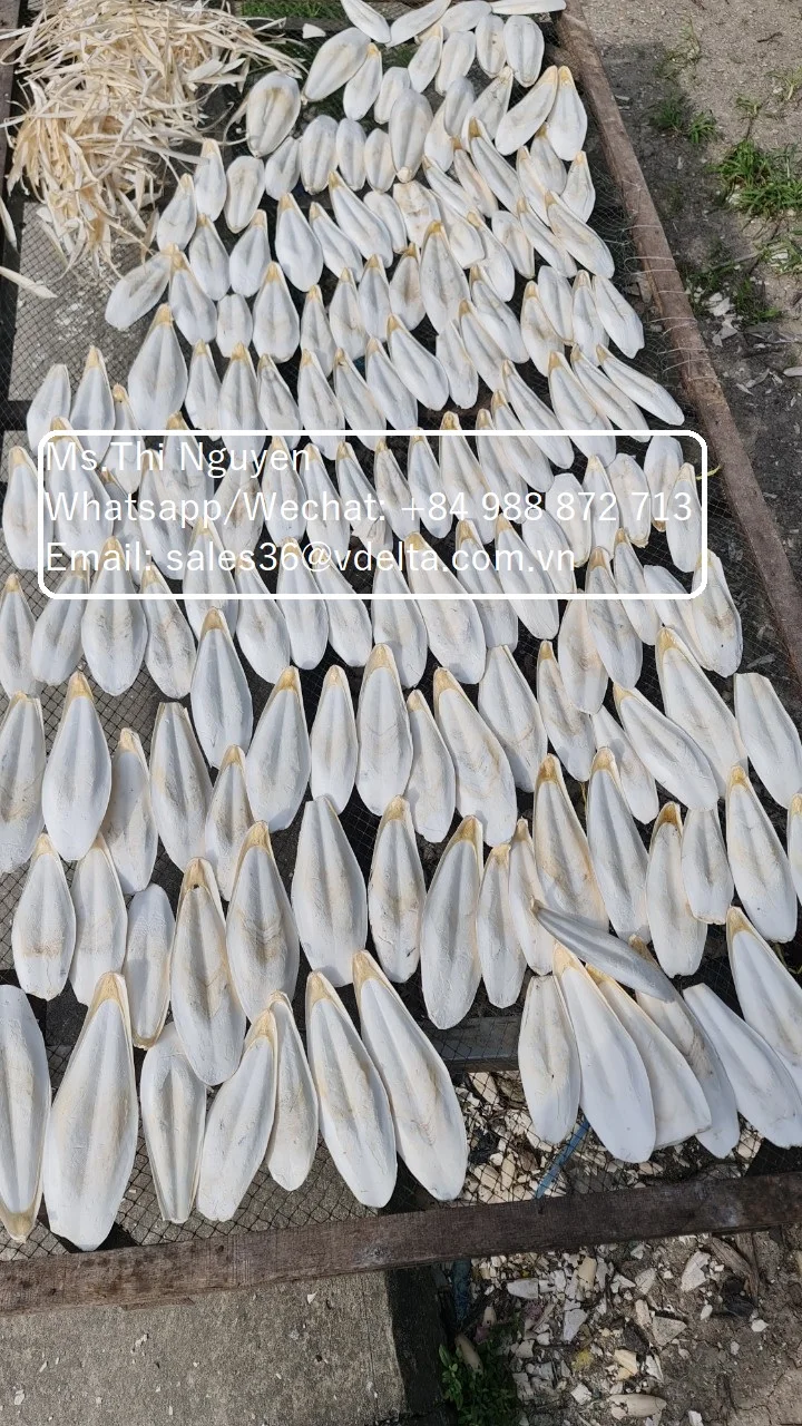 Сушеные кости для морской слепки-корм животных-колючая/Ms.Thi Нгуен + 84 988 872 713