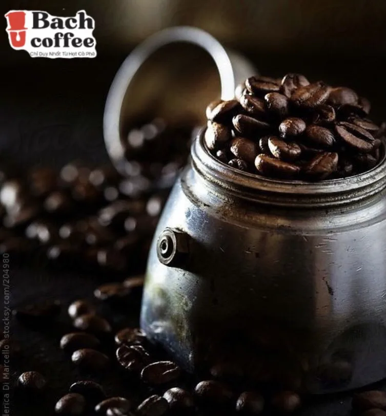 Вьетнамская Органическая кофе-Премиум кофейная смесь 100% ручной сборки-французское обжаренное-кофейные зерна Арабика робуста жареная