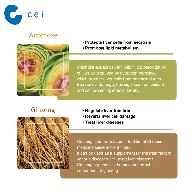Liver Tonic Hangover Cure Arrowroot, Schisandra, Artichoke Extract