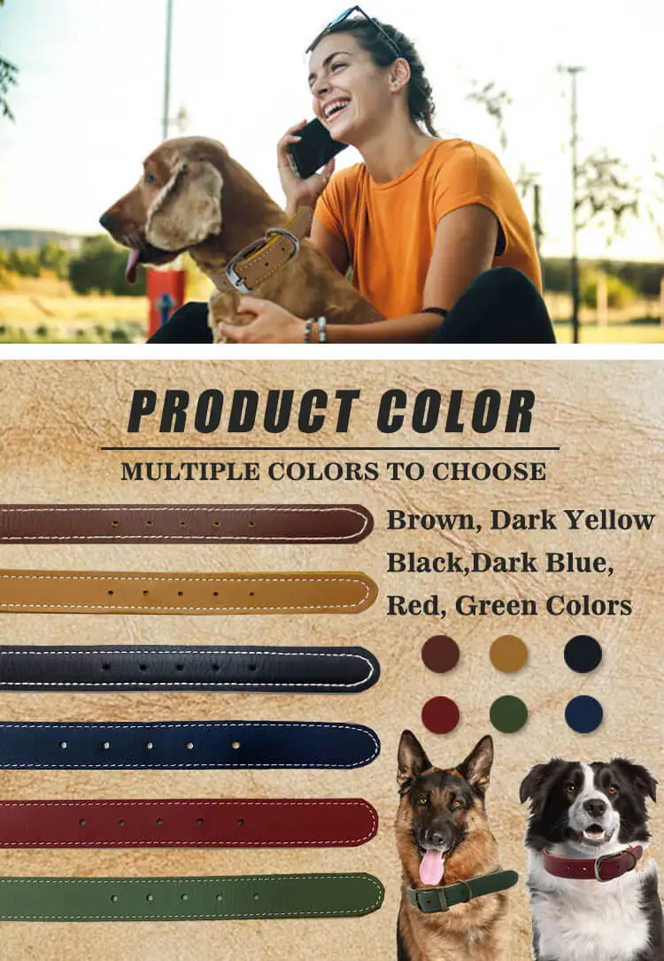double layer dog collar 