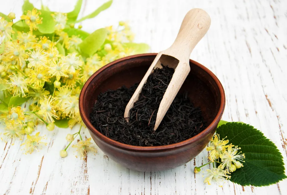 Заводской производитель свежих свободных черных чайных листьев