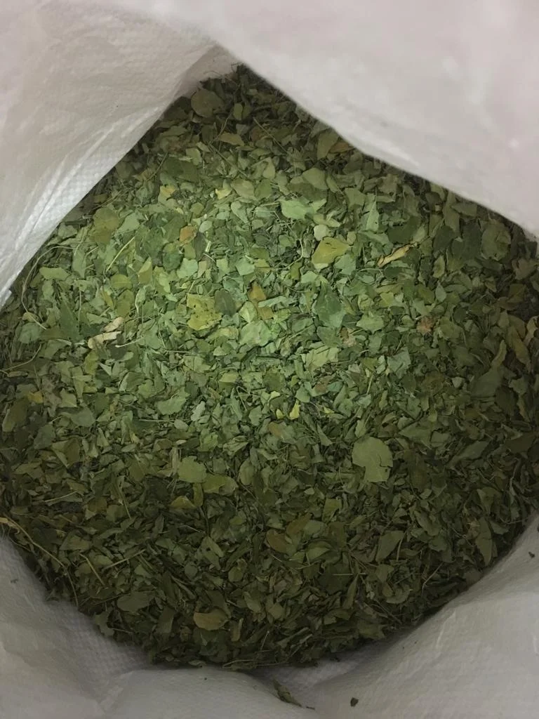 Good Selling Moringa Dried Leaf for Home Daily Usage for making Moringa Soup, Moringa Tea for High Nutrition