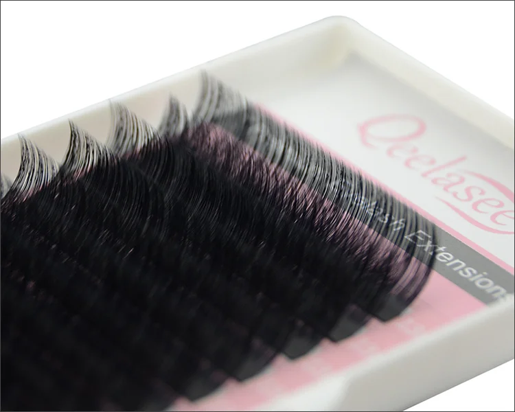 
Professional korea pbt hair volume eye lashes private label eyelash extensions 