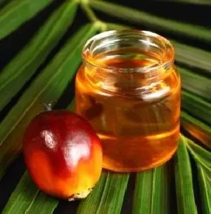 Quality Refined Palm Oil