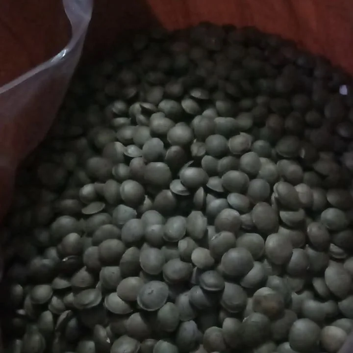 Herbal Organic Sacha Inchi Seeds extract Powder for Protein Supplement