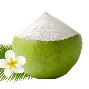
100% Natural Fresh Coconut Young Coconut with High Quality for Wholesale Top Cover / Diamond cut / Round Shape Vietnam Coconut 