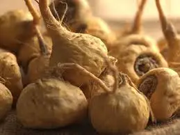 Healthy Energy Pure Maca Root