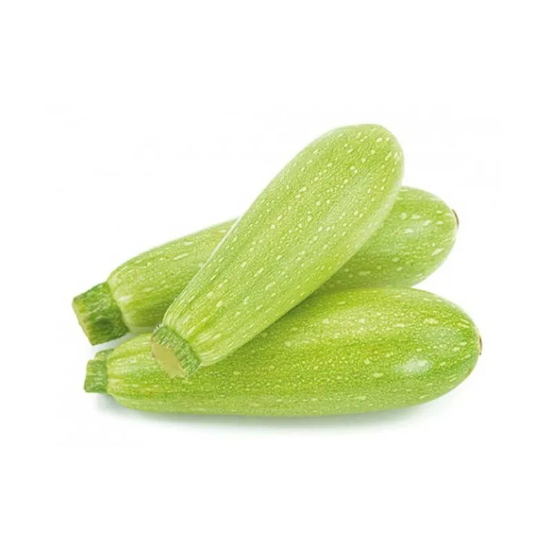 Green Squash    White Zucchini