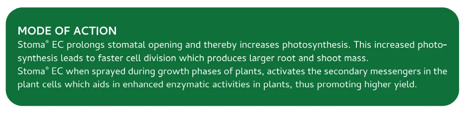 Screenshot (1007).png