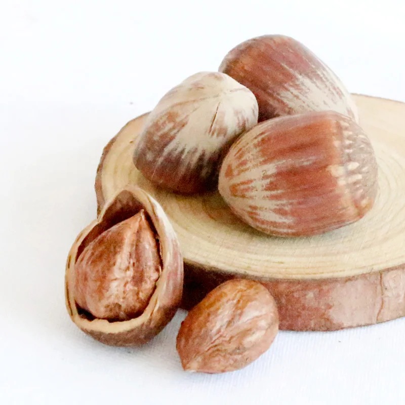 100% Natural Taste Quality Blanched Hazelnuts/ Organic Hazel Nuts
