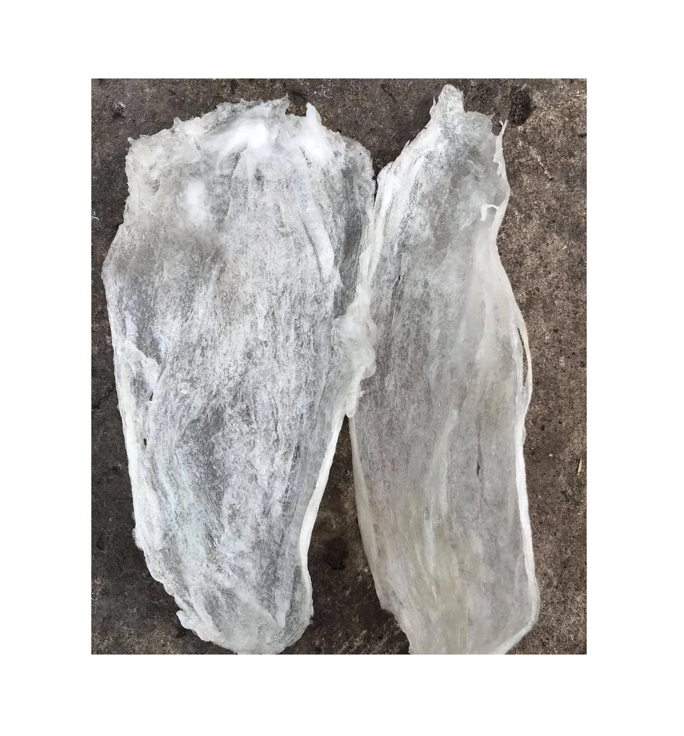 WHOLESALE FISH MAW FISH MAW WITH BEST PRICE