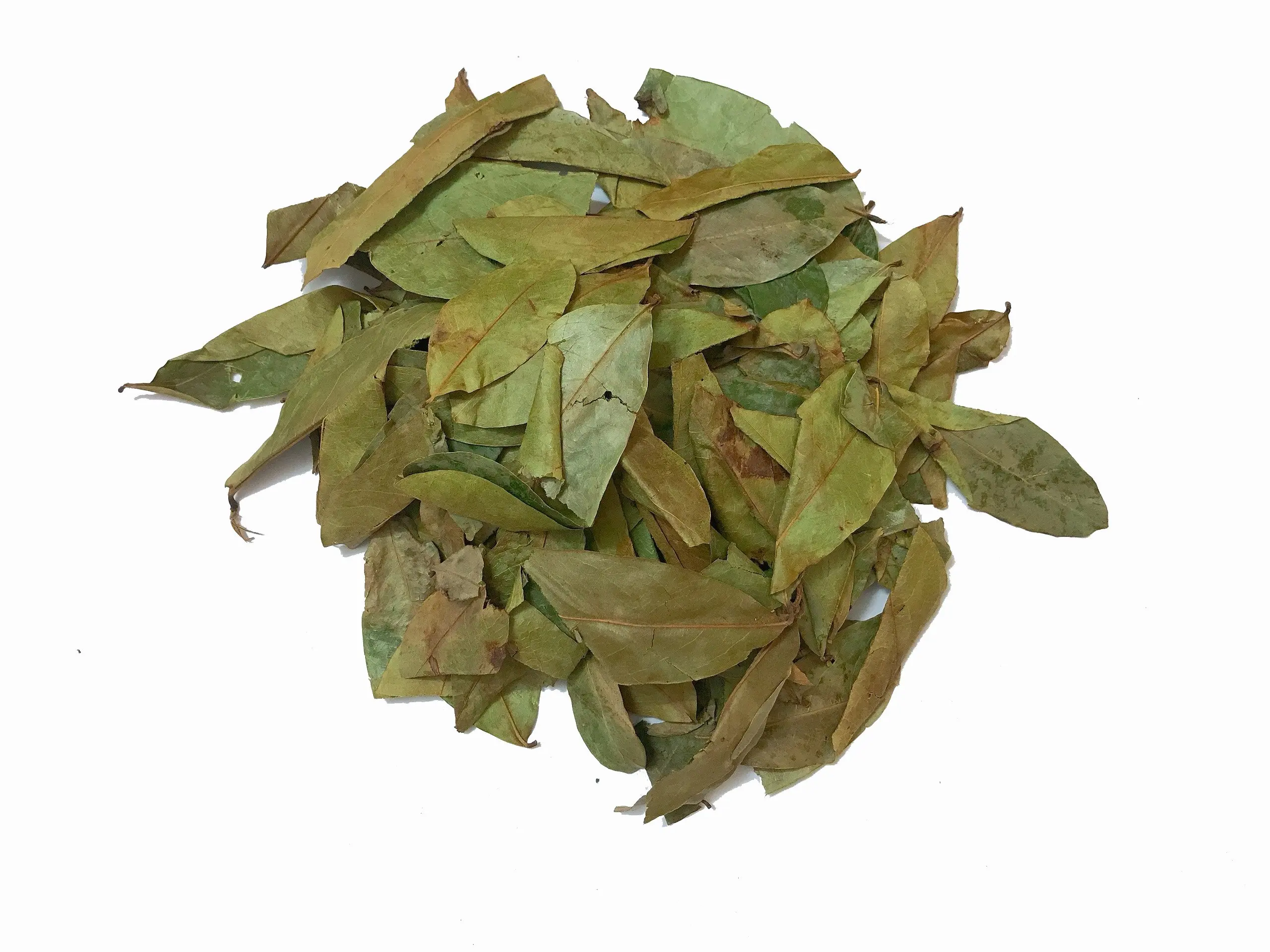 
Premium Quality Health Tea Graviola Leaves / Soursop Leaves from Vietnam - Europe standard - W/A: +84 90 335 4981 